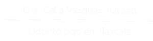 Odontología en
                  Av. Reforma, Tlatlacola, 90750 San Lorenzo Axocomanitla, Tlax. - Dra. Celia Vazquez Tuxpan